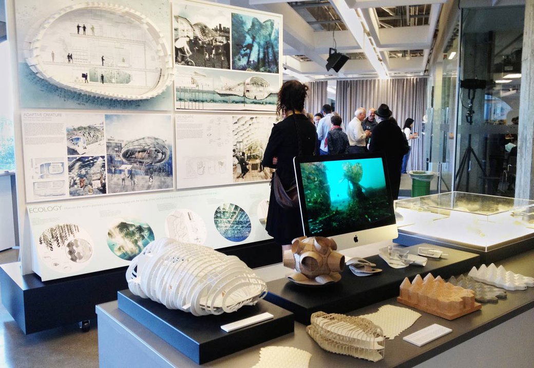 A student looks over a display at the Architectural Ecologies Lab.