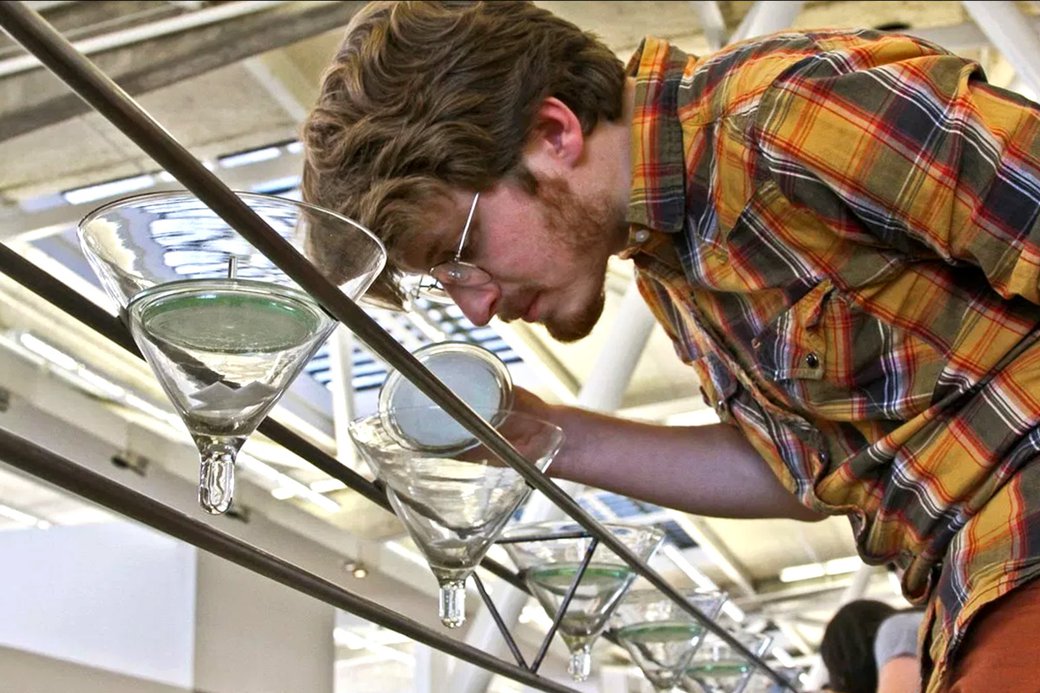 A man sniffing a row of suspended glass jars.