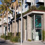 View from the street looking toward the corner of a modern-style building with the CCA logo in teal in the window. A row of palm trees lines the sunny street.