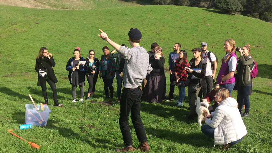A group of standing in a grassy field.