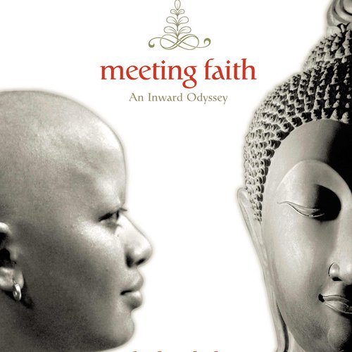 Book cover of Meeting Faith